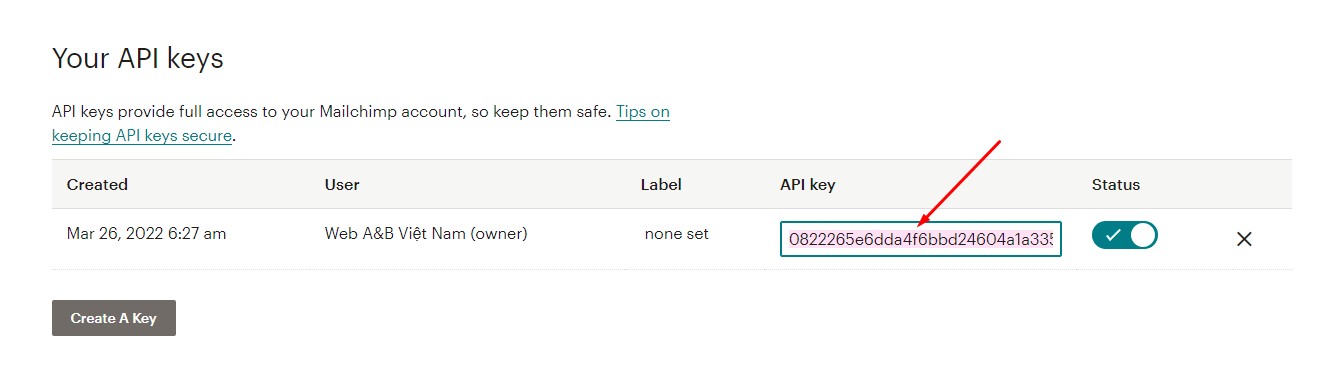 Thao tác Copy API key