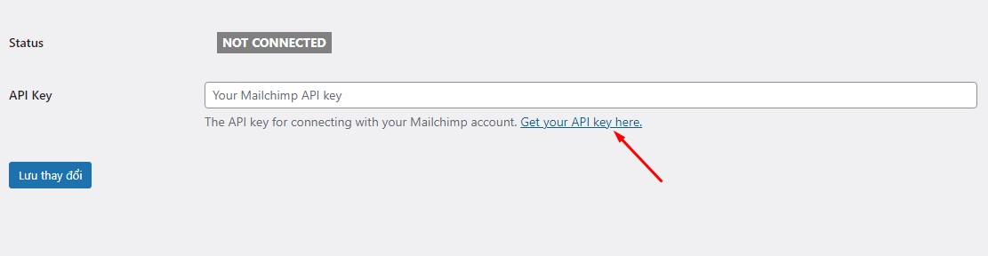 Thao tác lấy API từ Mailchimp