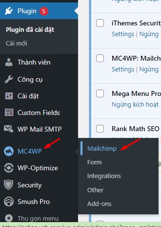 Thiết lập Plugin Plugin MC4WP Mailchim cho WordPress Website